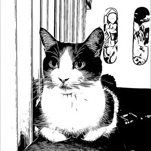 Meet your Posher, Briana